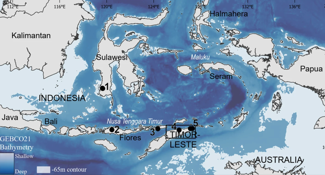 Numbers correspond to the following archaeological sites mentioned in the text: (1) Leang Burung 2, Leang Bulu Bettue, and Leang Tedongnge; (2) Liang Bua; (3) Makpan and Tron Bon Lei; (4) Laili; (5) Matja Kuru 2, Asitau Kuru, and Lene Hara